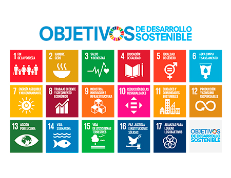 Iconos ODS diseño