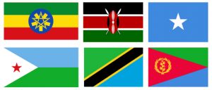 Banderes Àfrica de l'Est neurocirurgia a Àfrica de l'Est
