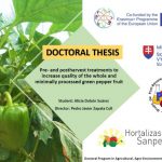 PH Doctoral Thesis EuroDisBioFood