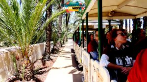 Guided Tour of Elche old town by train image