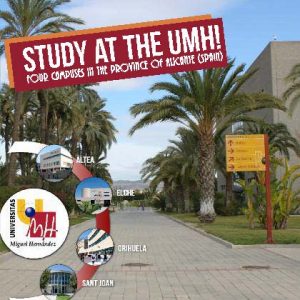 Study at UMH 4 campuses in Alicante image